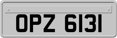 OPZ6131