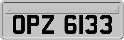 OPZ6133