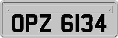 OPZ6134