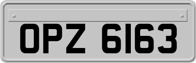 OPZ6163