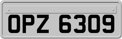 OPZ6309