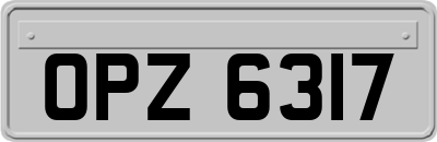 OPZ6317