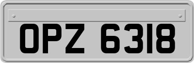 OPZ6318