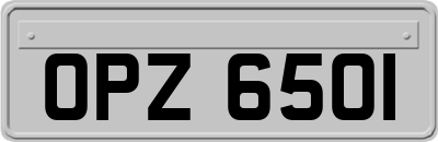 OPZ6501