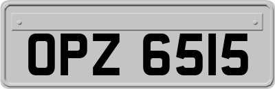 OPZ6515
