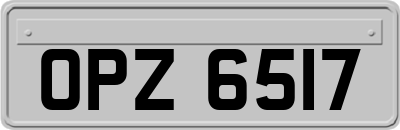 OPZ6517