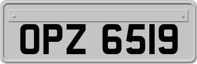OPZ6519