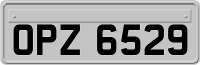 OPZ6529