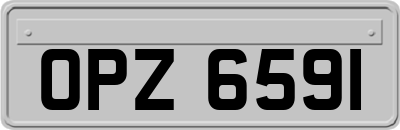 OPZ6591