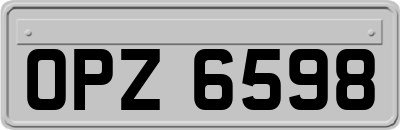 OPZ6598