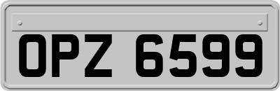 OPZ6599