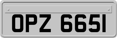 OPZ6651
