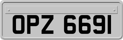 OPZ6691