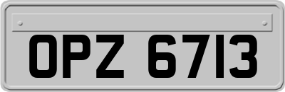 OPZ6713