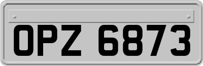 OPZ6873