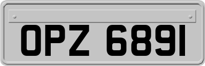 OPZ6891