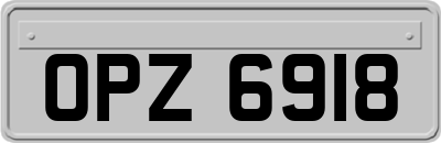OPZ6918