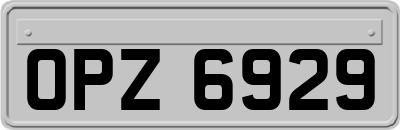 OPZ6929
