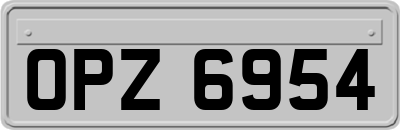 OPZ6954