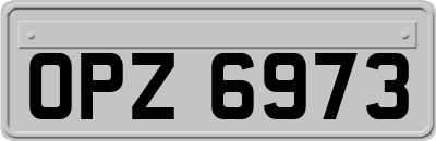 OPZ6973