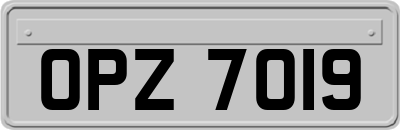 OPZ7019