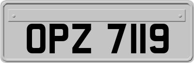 OPZ7119