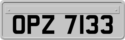OPZ7133