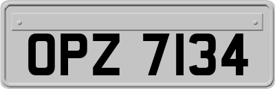 OPZ7134