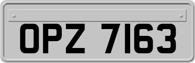 OPZ7163
