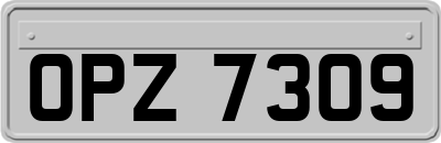 OPZ7309
