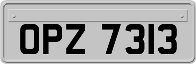 OPZ7313