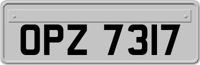 OPZ7317