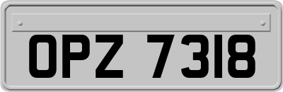 OPZ7318