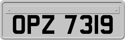 OPZ7319