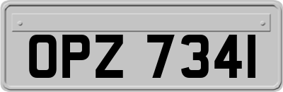 OPZ7341