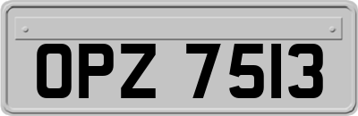 OPZ7513