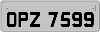 OPZ7599