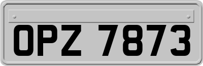 OPZ7873