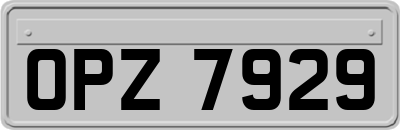 OPZ7929