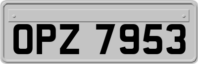 OPZ7953