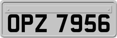 OPZ7956