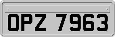 OPZ7963
