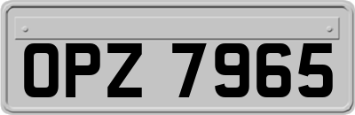 OPZ7965