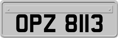 OPZ8113