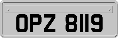 OPZ8119