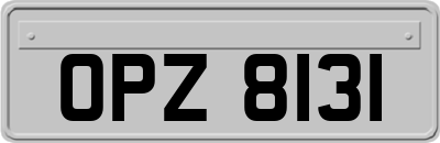 OPZ8131