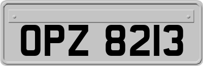 OPZ8213