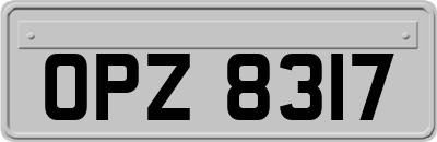 OPZ8317