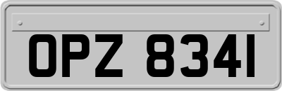 OPZ8341