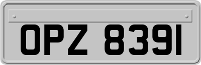 OPZ8391